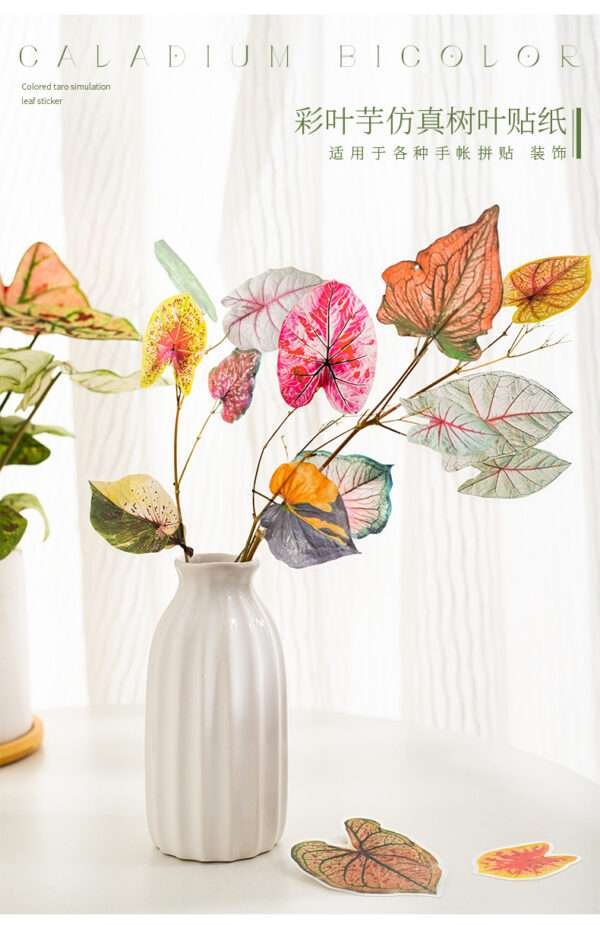 Caladium Bicolor Series PET Stickers - Image 5