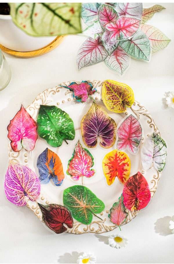Caladium Bicolor Series PET Stickers