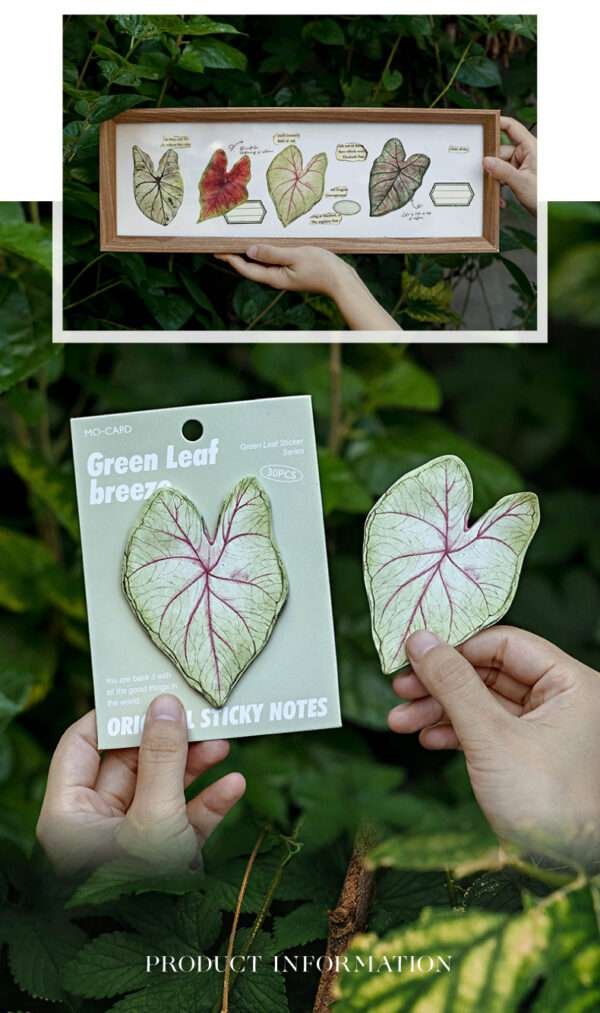 30pcs/pack Caladium Sticky Notes - Image 7