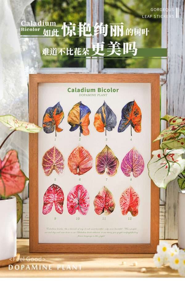Caladium Bicolor Series PET Stickers - Image 7