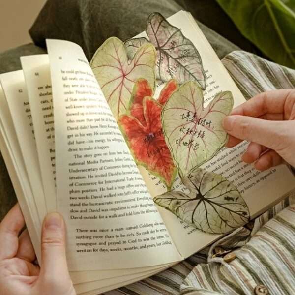 30pcs/pack Caladium Sticky Notes - Image 4