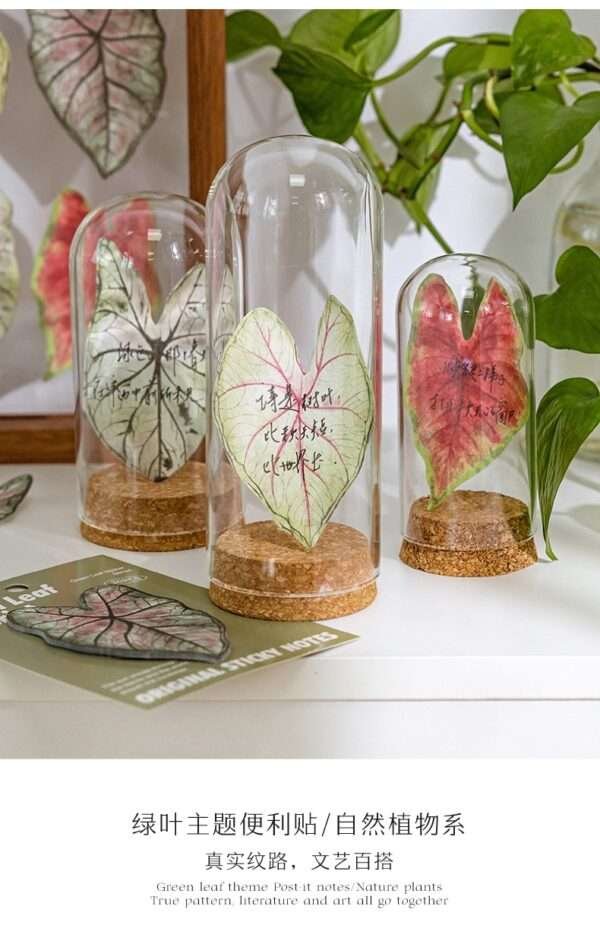 30pcs/pack Caladium Sticky Notes - Image 6