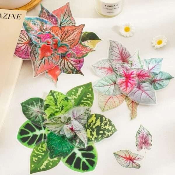 Caladium Bicolor Series PET Stickers - Image 8