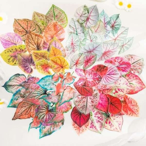 Caladium Bicolor Series PET Stickers - Image 3