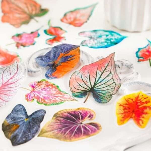 Caladium Bicolor Series PET Stickers - Image 2