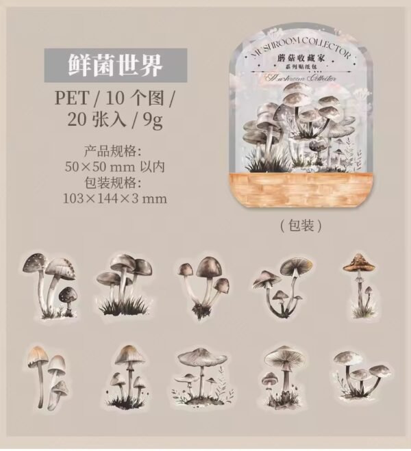 🍄 Mushroom Collector Series – PET Stickers 🍄 - Image 6