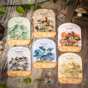 🍄 Mushroom Collector Series – PET Stickers 🍄