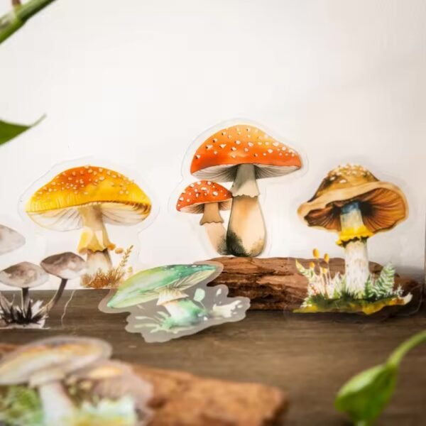🍄 Mushroom Collector Series – PET Stickers 🍄 - Image 4