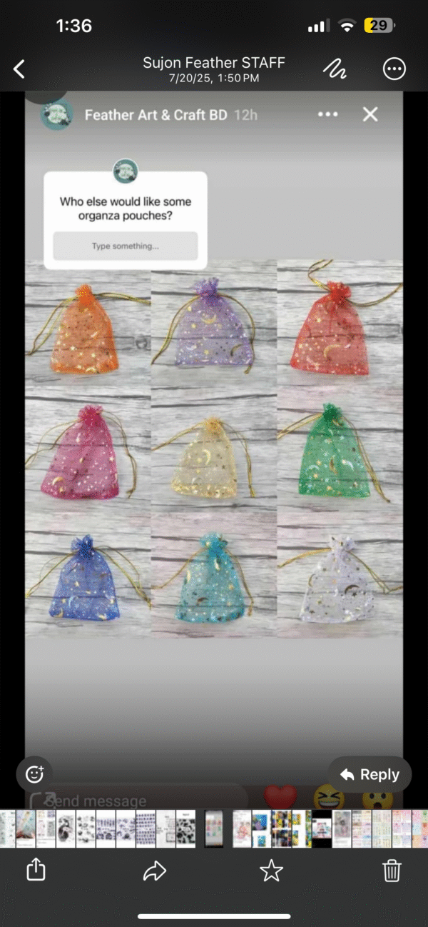 🌙✨ 10pcs/pack Moon & Star Organza Pouches ✨🌙 - Image 10