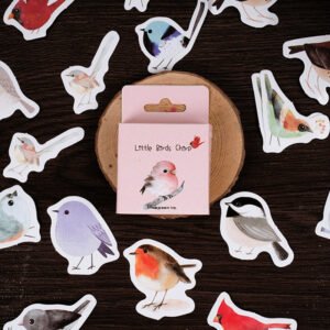 Little Bird Chirps Mini Box Stickers