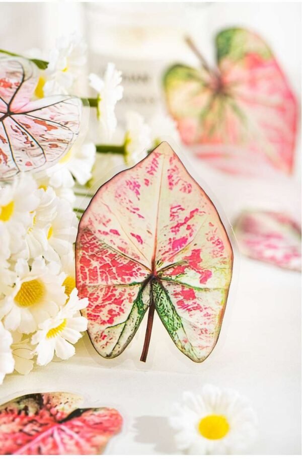 Caladium Bicolor Series PET Stickers - FEATHER SHOP