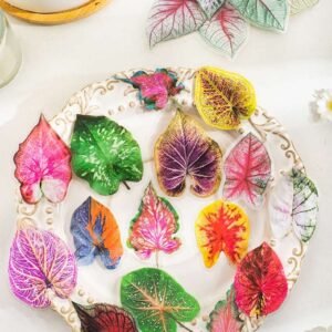 import placeholder for 10151