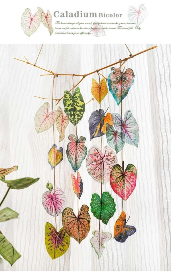 Caladium Bicolor Series PET Stickers - FEATHER SHOP