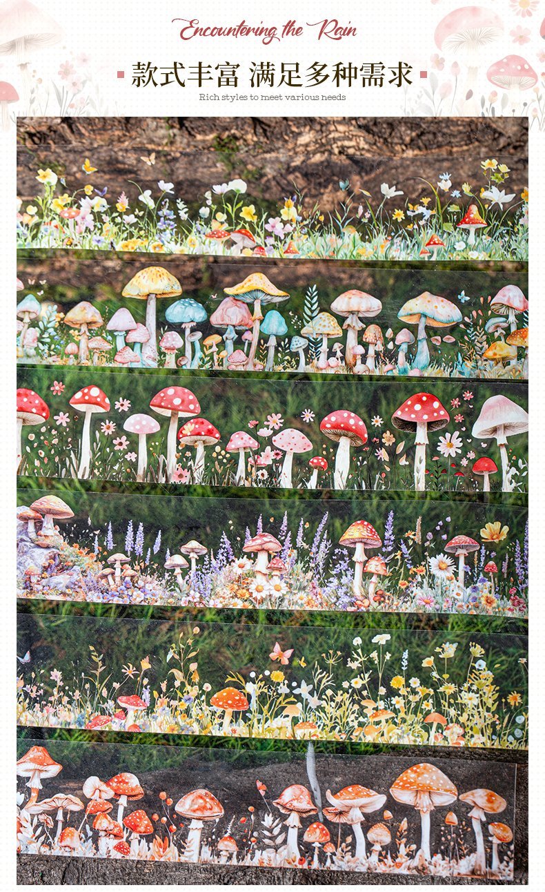 🌧🍄 harvest after the rainy season pet tapes🍄🌧 🌧🍄 harvest after the rainy season pet tapes🍄🌧