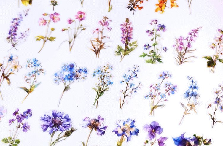 🌸 large pet stickers | for bold, beautiful pages 🌿 🌸 large pet stickers | for bold, beautiful pages 🌿