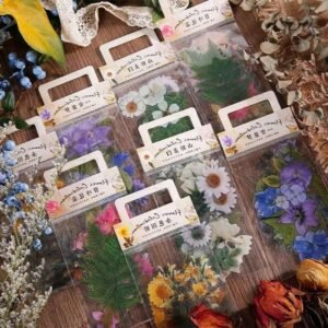 import placeholder for 6197