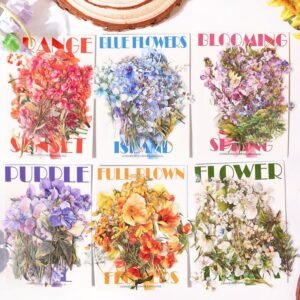 import placeholder for 12978