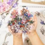🌼 flower picking collection | pet stickers 🌸