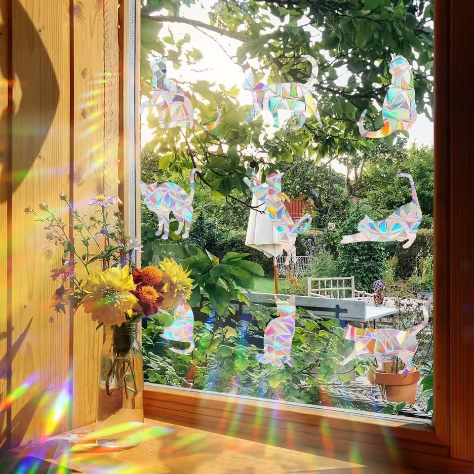 auto draft auto draft